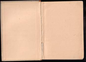 Jarka Stibralová: Deny, nebo Dany?