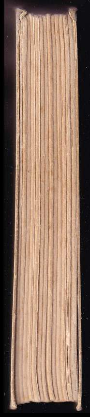 Jarka Stibralová: Deny, nebo Dany?