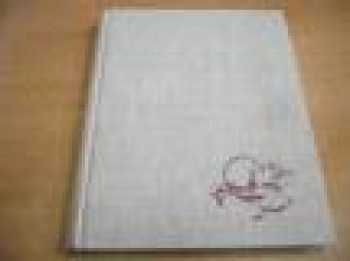 Der geheimisvolle Wald