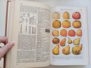 Der Neue Brockhaus - Allbuch in vier Bänden und einem Atlas