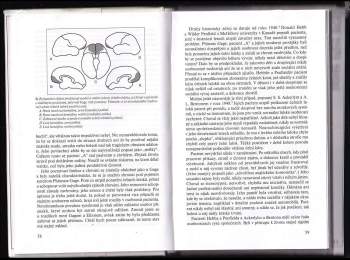 Antonio R Damasio: Descartesův omyl