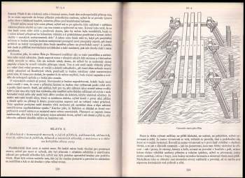 Leon Battista Alberti: Deset knih o stavitelství