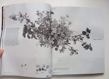 Designblok magazine 2014