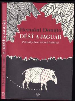 Déšť a jaguár
