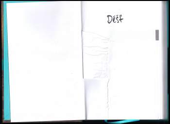 Sára Saudková: Déšť