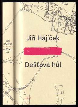 Dešťová hůl