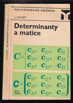 Determinanty a matice