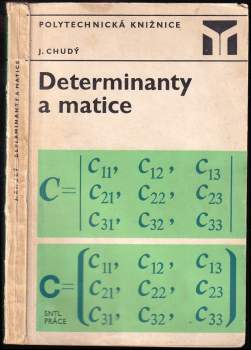 Determinanty a matice