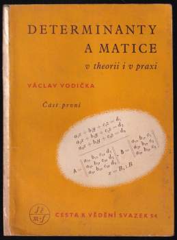 Determinanty a matice v theorii i v praxi