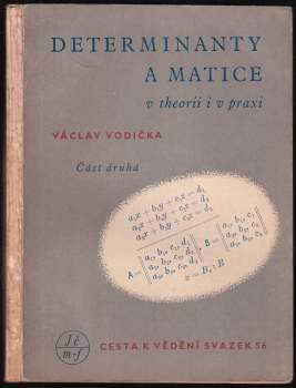 Determinanty a matice v theorii i v praxi