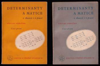 Determinanty a matice v theorii i v praxi