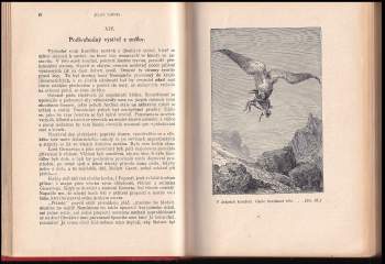 Jules Verne: Děti kapitána Granta