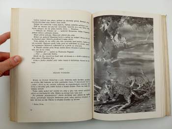 Jules Verne: Deti kapitána Granta