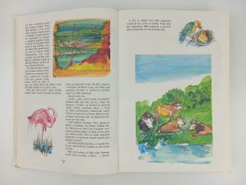 Jiří Matějka: Dětská bible