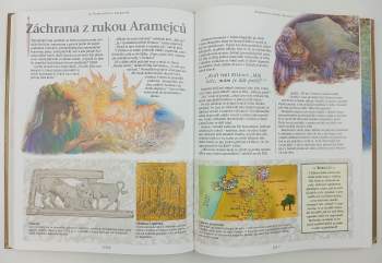 Victoria Parker: Dětská ilustrovaná Bible