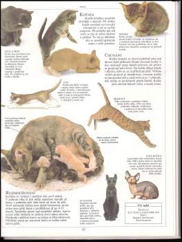 Dětská ilustrovaná encyklopedie