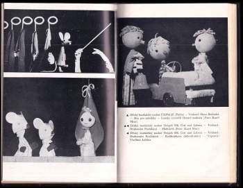 Dětské loutkové divadlo