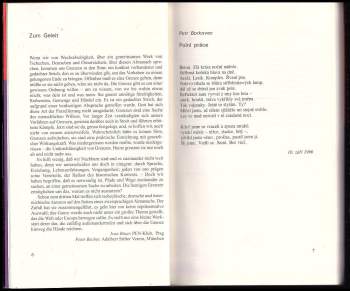 Deutsch-tschechischer - Česko-německý Almanach 2000