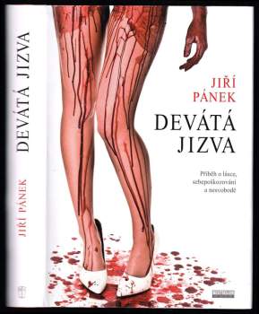 Jiří Pánek: Devátá jizva