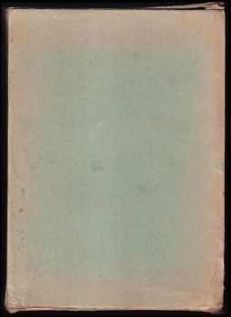 Děvče se střepinami