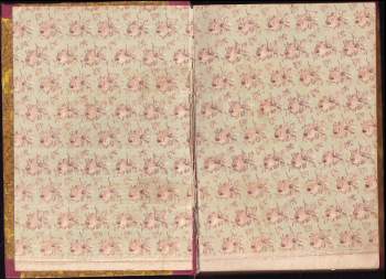 Edgar Rice Burroughs: Děvče z Hollywoodu