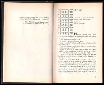 Geraldine Brooks: Devět částí touhy