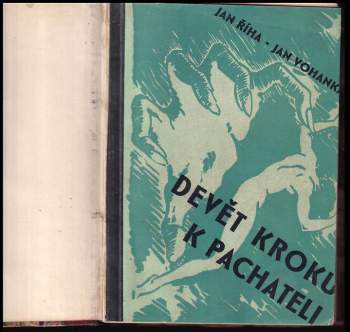 Jan Říha: Devět kroků k pachateli