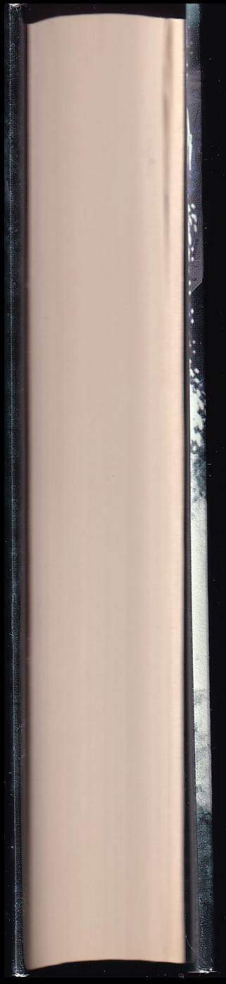 Stefan Ahnhem: Deviaty hrob