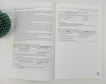 Jaroslava Ester Evangelu: Diagnostické metody v personalistice