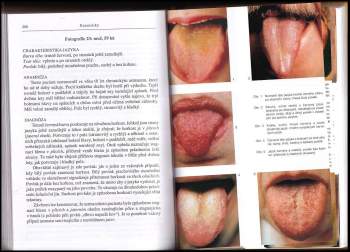 Giovanni Maciocia: Diagnostika podle jazyka