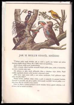 Jaroslav Tichý: Diamantová sekera