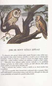 Jaroslav Tichý: Diamantová sekera