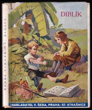 Ethel Sybil Turner: Diblík - Judy and Punch - Dívčí příběh