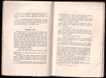 Franz Hartmann: Die Bhagavad Gita - Das Lied von der Gottheit oder die Lehre vom göttlichen Sein und von der Unsterblichkeit - Bhagavadgíta v NJ