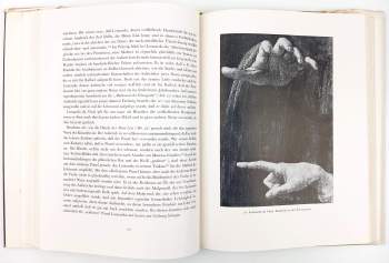 Vojtěch Volavka: Die Handschrift des Malers