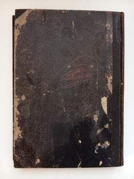 Die Illustrirte Welt - Blätter aus Natur und Leben, Wissenschaft und Kunst zur Unterhaltung und Belehrung für die Familie, für Alle und Jeden