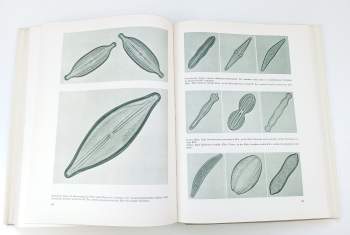 Václav Jan Staněk: Die Schönheit der Natur