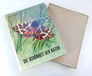 Die Schönheit der Natur