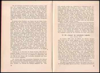 Konstantin W. Sakharow: Die Tschechischen Legionen In Sibirien