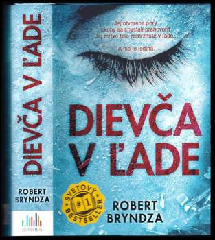 Robert Bryndza: Dievča v ľade