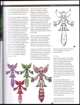 Chee Ming Wong: Digitální malířské techniky