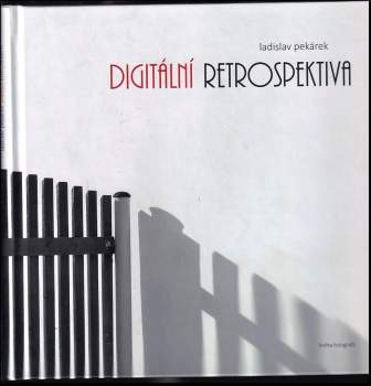 Digitální retrospektiva