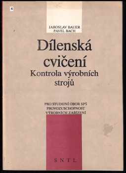 Dílenská cvičení