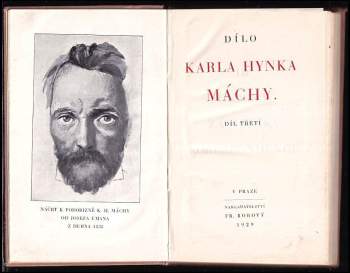 Karel Hynek Mácha: Dílo Karla Hynka Máchy