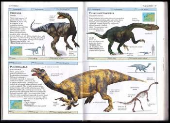 Hazel Richardson: Dinosauři a život v pravěku