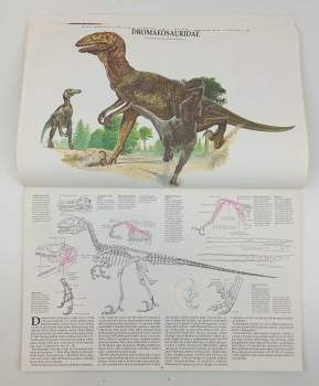 David Norman: Dinosauři