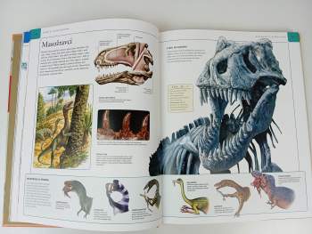 Michael K Brett-Surman: Dinosauři