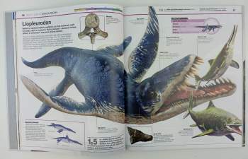 John Woodward: Dinosauři v kostce