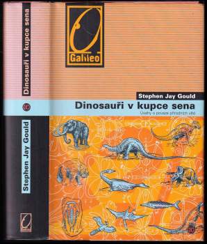 Dinosauři v kupce sena