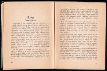 Rudolf Meyer: Dítě- O zázraku zrození a vývoje člověka a o pěstování dětské duše